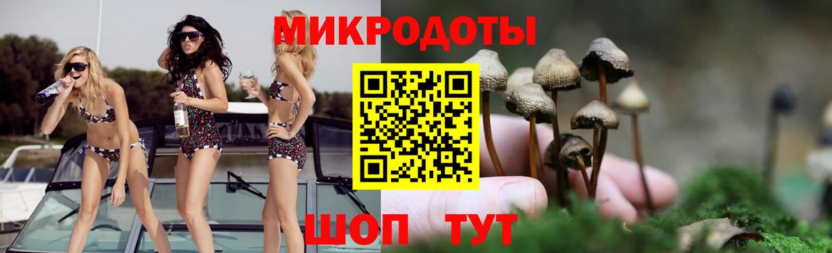 Галлюциногенные грибы мухоморы Сланцы