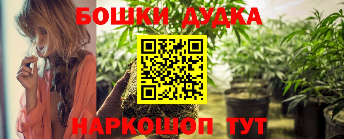 Канабис сатива  Каннабис марихуана  МАРИХУАНА индика  Вход с VPN  Марихуана White Widow  Сланцы 